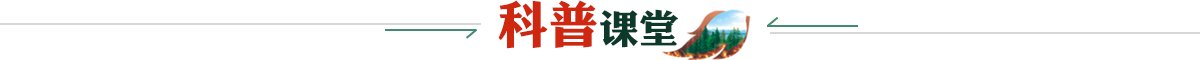 韦德在线登录入口