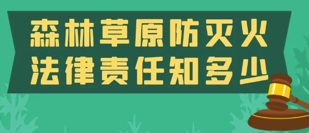建议先扫读标题与摘要