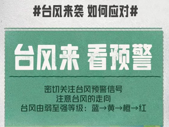 韦德在线登录入口官方正版主席
